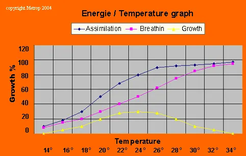 Harmonogram rosnącej temperatury